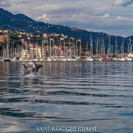 Apartman Number40laspezia *