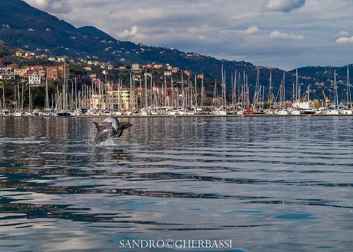 Apartment Number40laspezia *